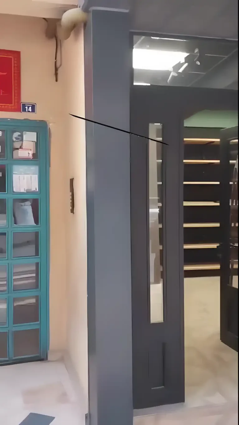 İzmit Fırın Kompozit Kaplama iç mekan kolonları alüminyum kompozit kaplı, tavanı lambri, rafları ve pencereleri cam olan modern ve şık bir fırın içi.