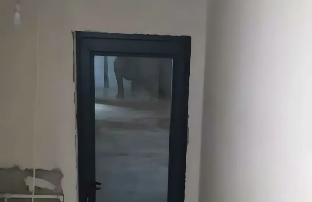 Kocaeli PEN tarafından montajı yapılmış, antrasit renkli, füme camlı, modern ve çift kanatlı kartepe alüminyum kapı apartman giriş kapısı.