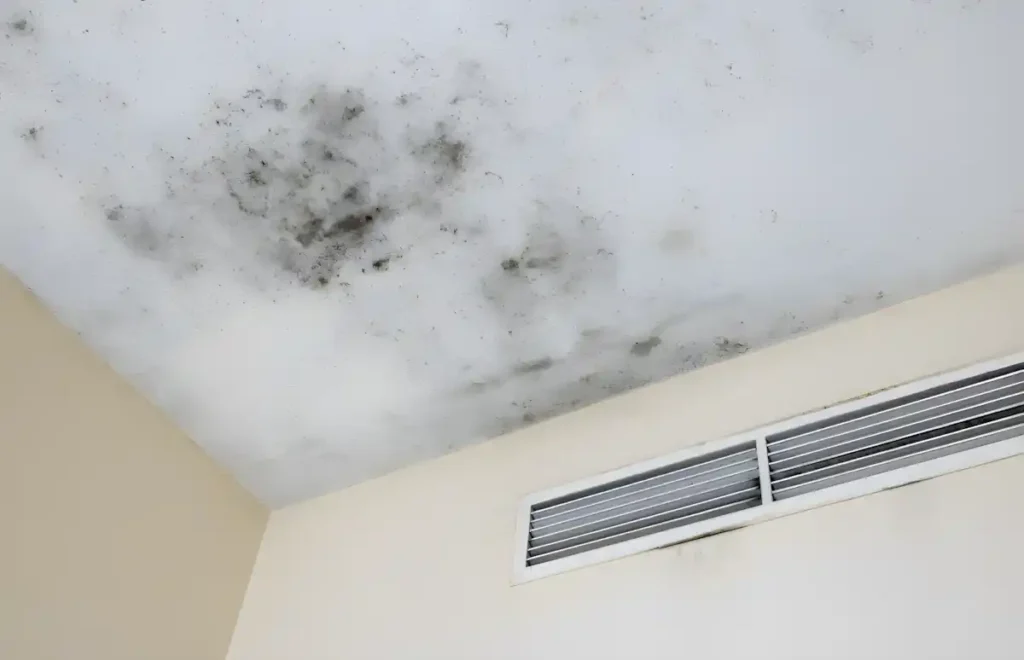 Kış aylarında pencerelerde terleme ve camlarda buğulanma neden olur?