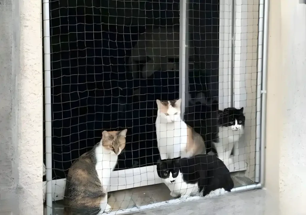 Evcil Hayvan Sahipleri İçin Yırtılmaz Kedi Tülü Sineklik