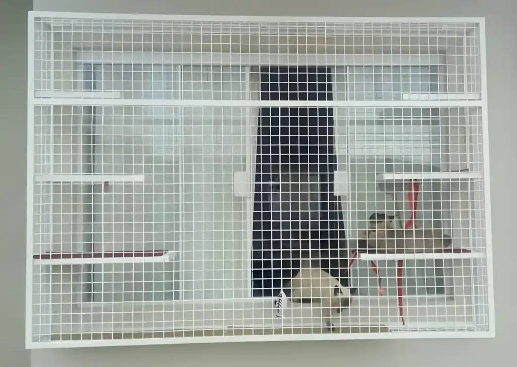 Evcil Hayvan Sahipleri İçin Yırtılmaz Kedi Tülü Sineklik