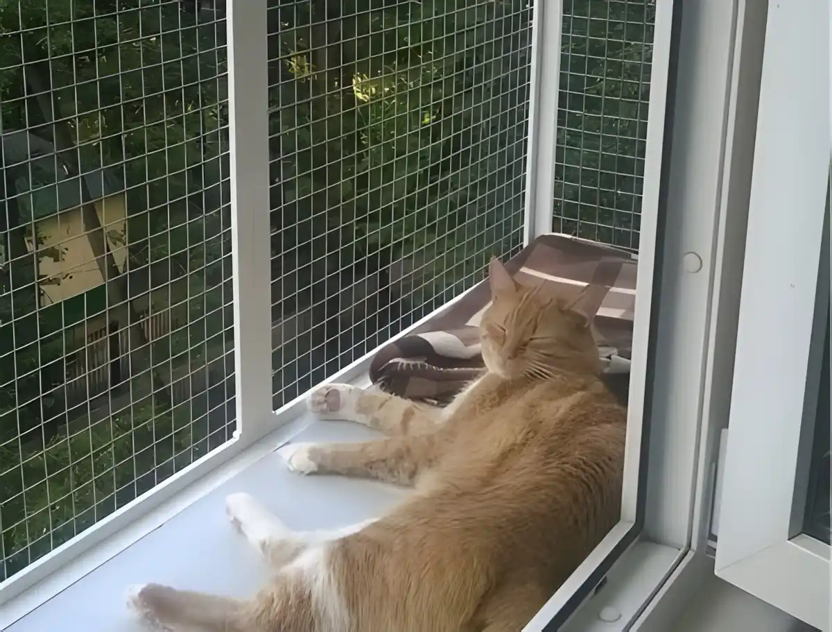 Evcil Hayvan Sahipleri İçin Yırtılmaz Kedi Tülü Sineklik