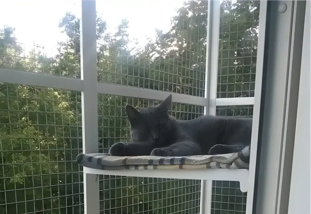 Evcil Hayvan Sahipleri İçin Yırtılmaz Kedi Tülü Sineklik