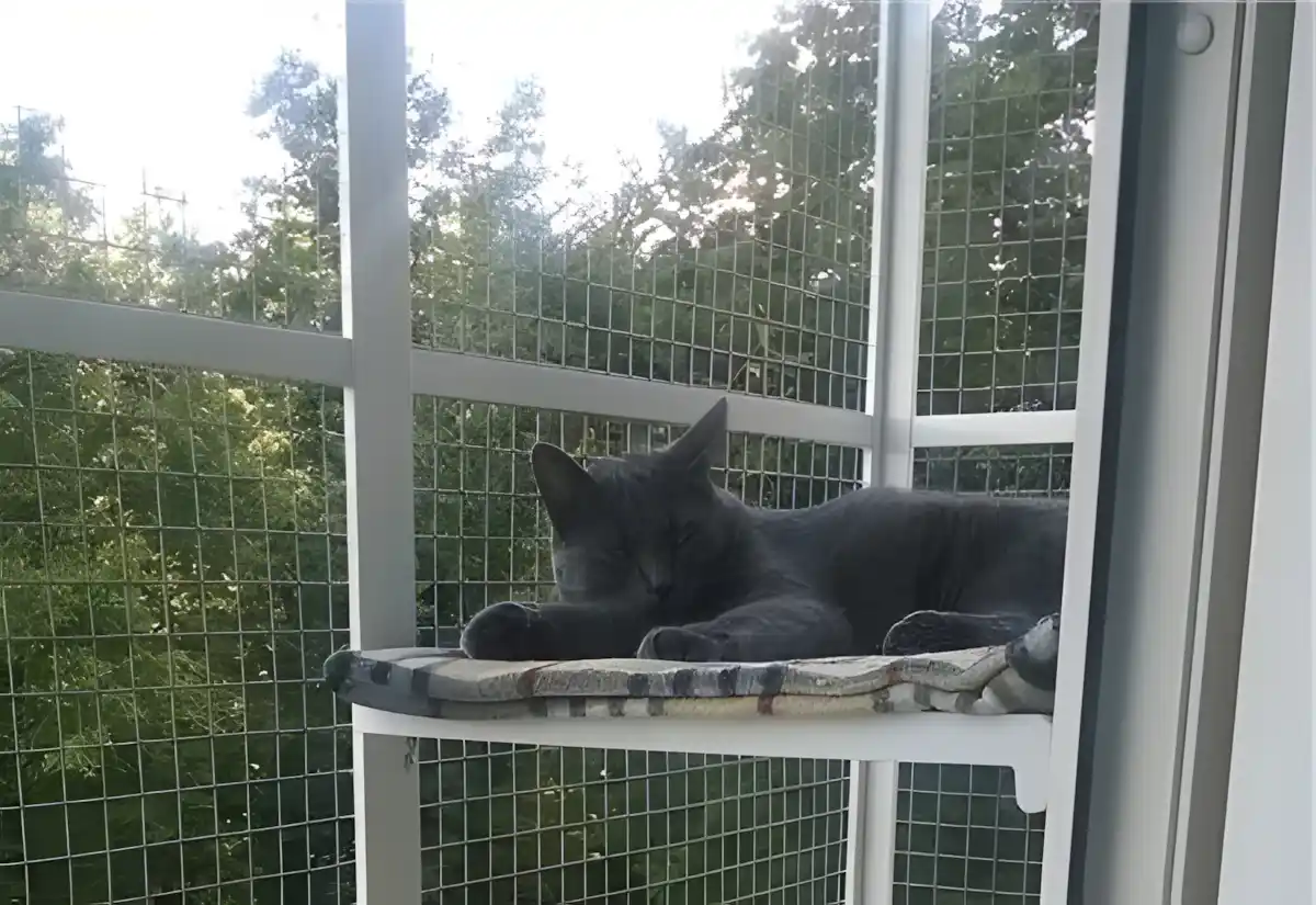 Evcil Hayvan Sahipleri İçin Yırtılmaz Kedi Tülü Sineklik